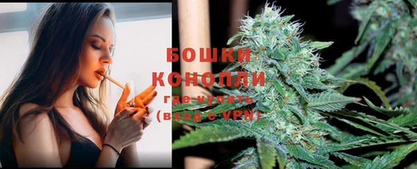 прущие крисы Аркадак