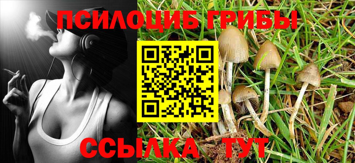 Галлюциногенные грибы Magic Shrooms Можга