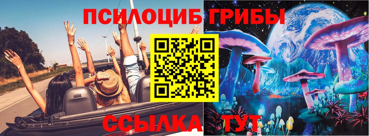 магазин    Галлюциногенные грибы ЛСД  Галлюциногенные грибы MAGIC MUSHROOMS  Вход с VPN  Можга 